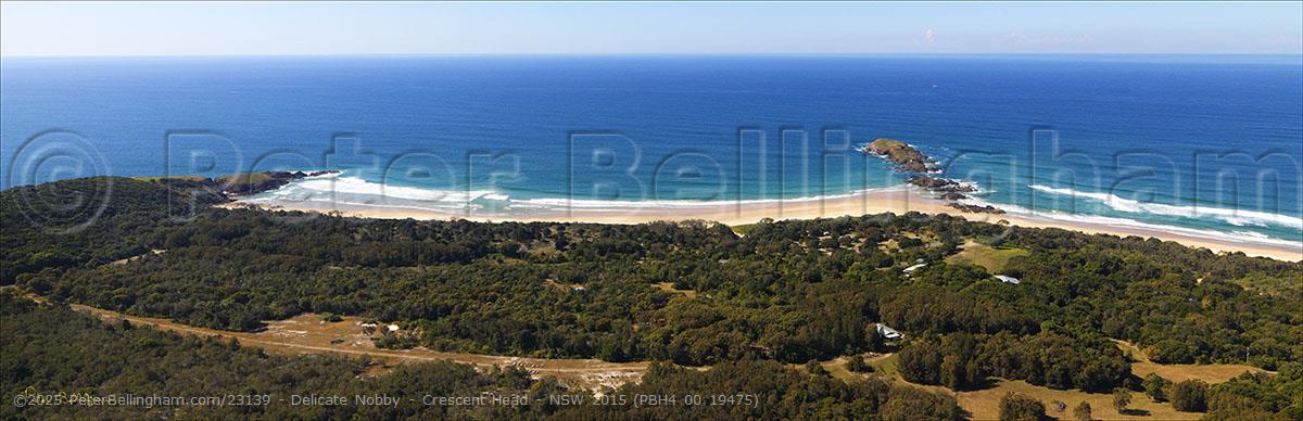 Peter Bellingham Photography Delicate Nobby - Crescent Head - NSW 2015 (PBH4 00 19475)